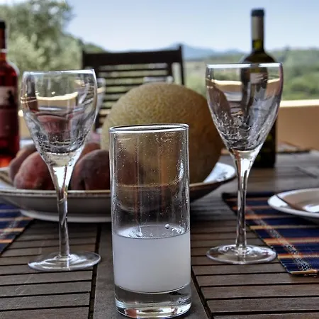 Jazz Rock With Large Private Pool Σπίτι διακοπών *